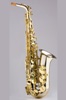 alto saxophone